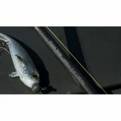 Fox Rage Terminator Casting Canne Big Bait Special 240cm 200g -Cannes à lancer d'appâts Soldes 2023 dsc05009 550x550w