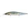 Megabass Vision 110 +1 Junior Wagin Hasu P1