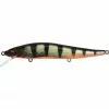Megabass Vision 110 FW Suspending GP Redfin Perche (SP-C)